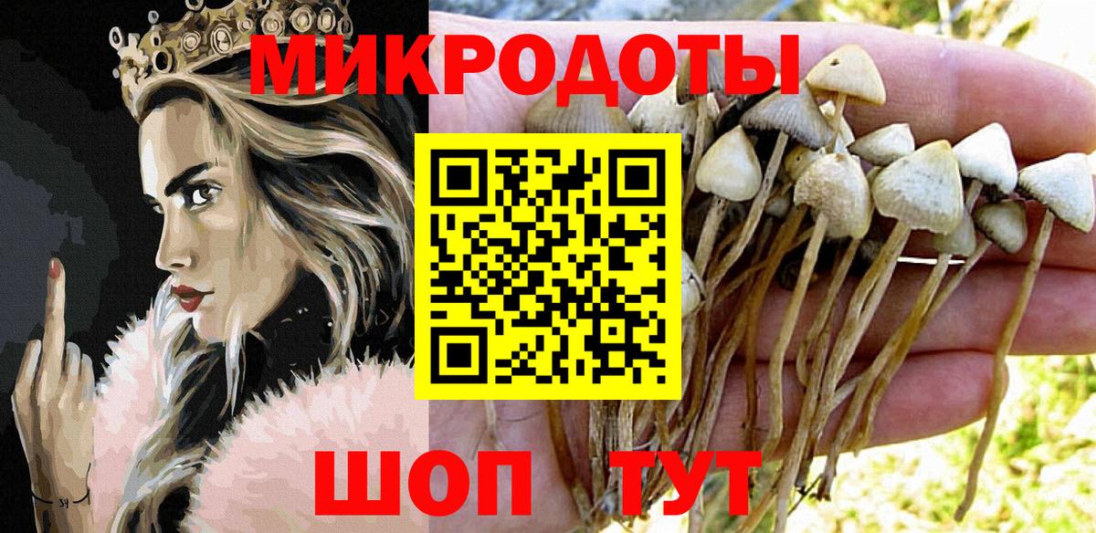 Псилоцибиновые грибы Cubensis Сургут