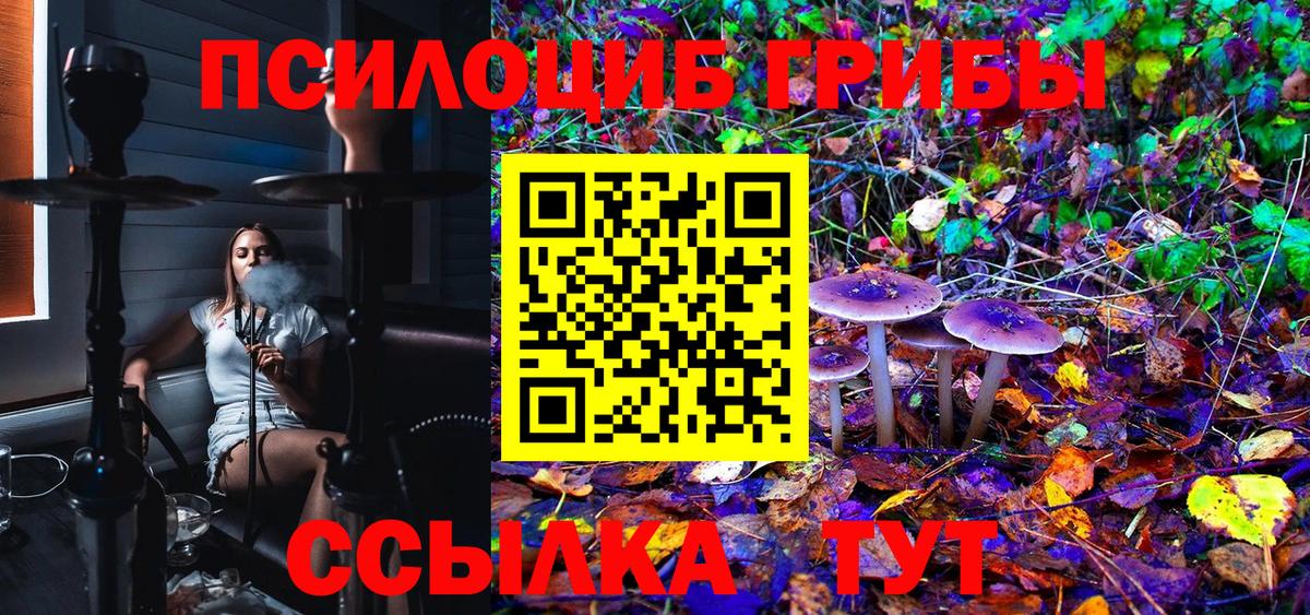 закладка  Галлюциногенные грибы Magic Shrooms  Сургут  Вход с VPN  Галлюциногенные грибы мицелий 